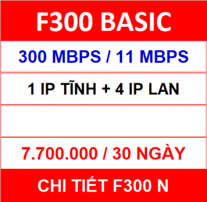 F300 Basic