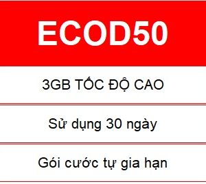 Ecod50 Viettel 1.jpg