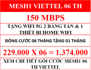 Mesh1 Viettel 06 Th.png