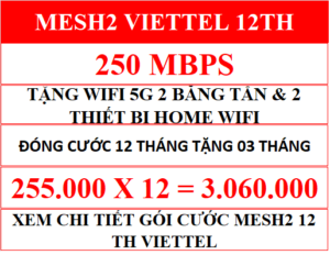 Mesh2 Viettel 12 Th.png