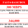 Fast4 Basicbox.png