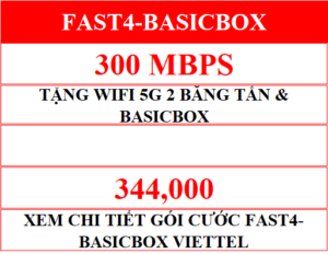 Fast4 Basicbox.png